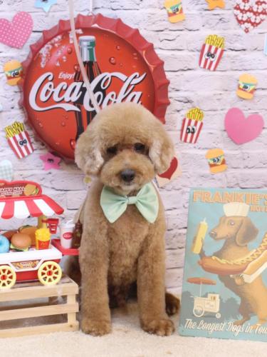 20230902ジョンくん